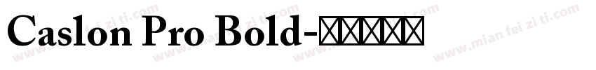 Caslon Pro Bold字体转换